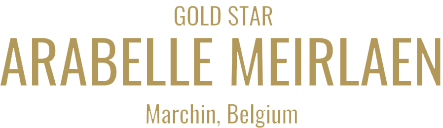 Gold star medal Wine list