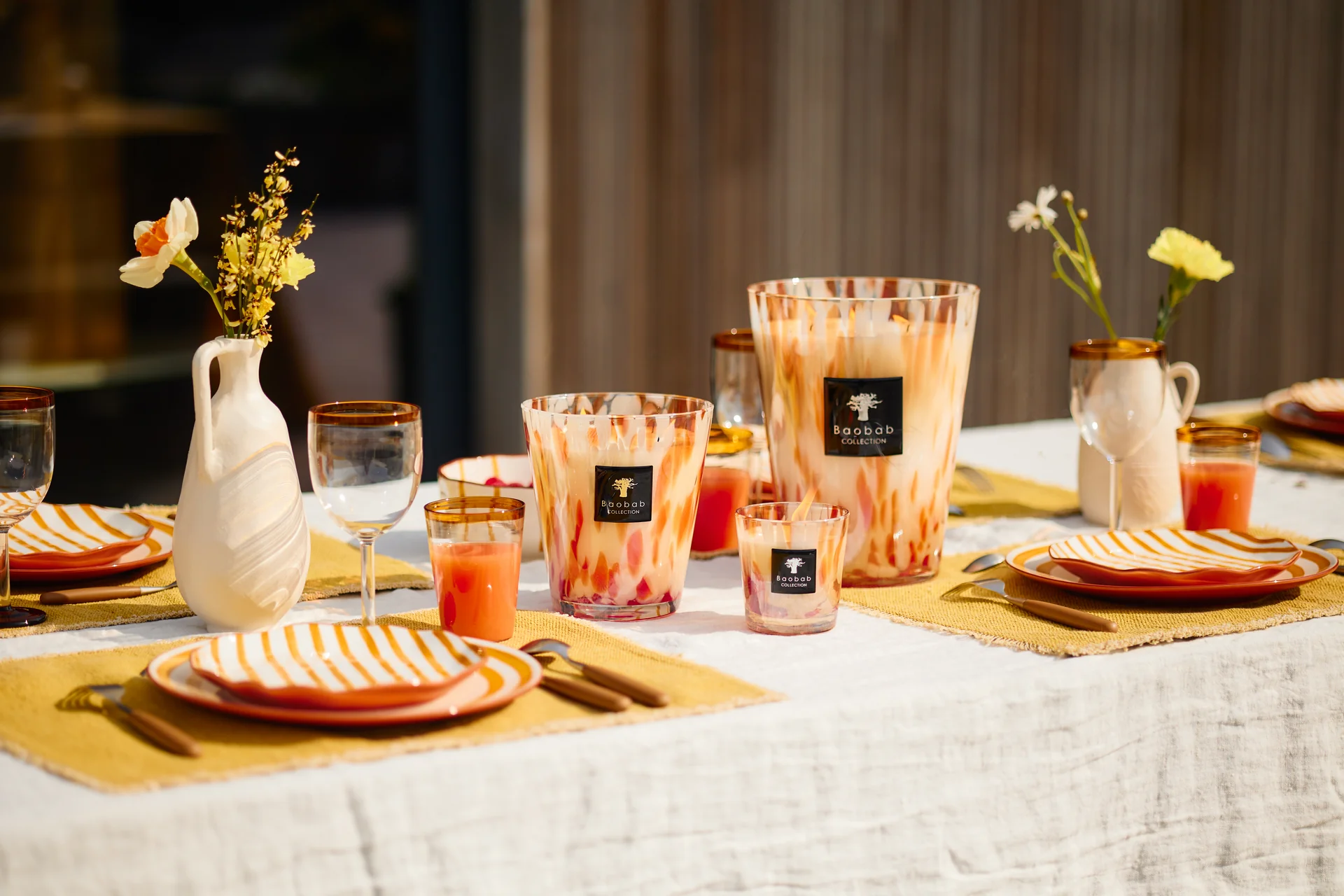 baobab-collection-01